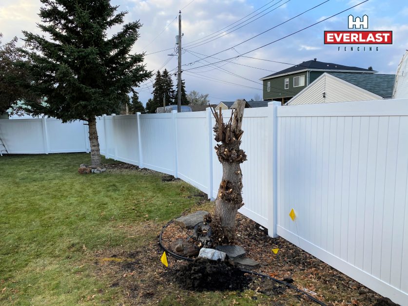 Why choose a vinyl privacy fence for your Edmonton backyard?