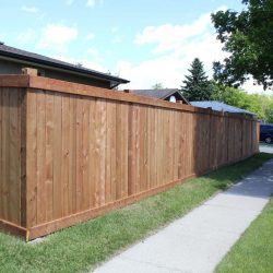 IMG-0351-5f3ad9d06113a-250x250