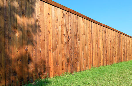 fence