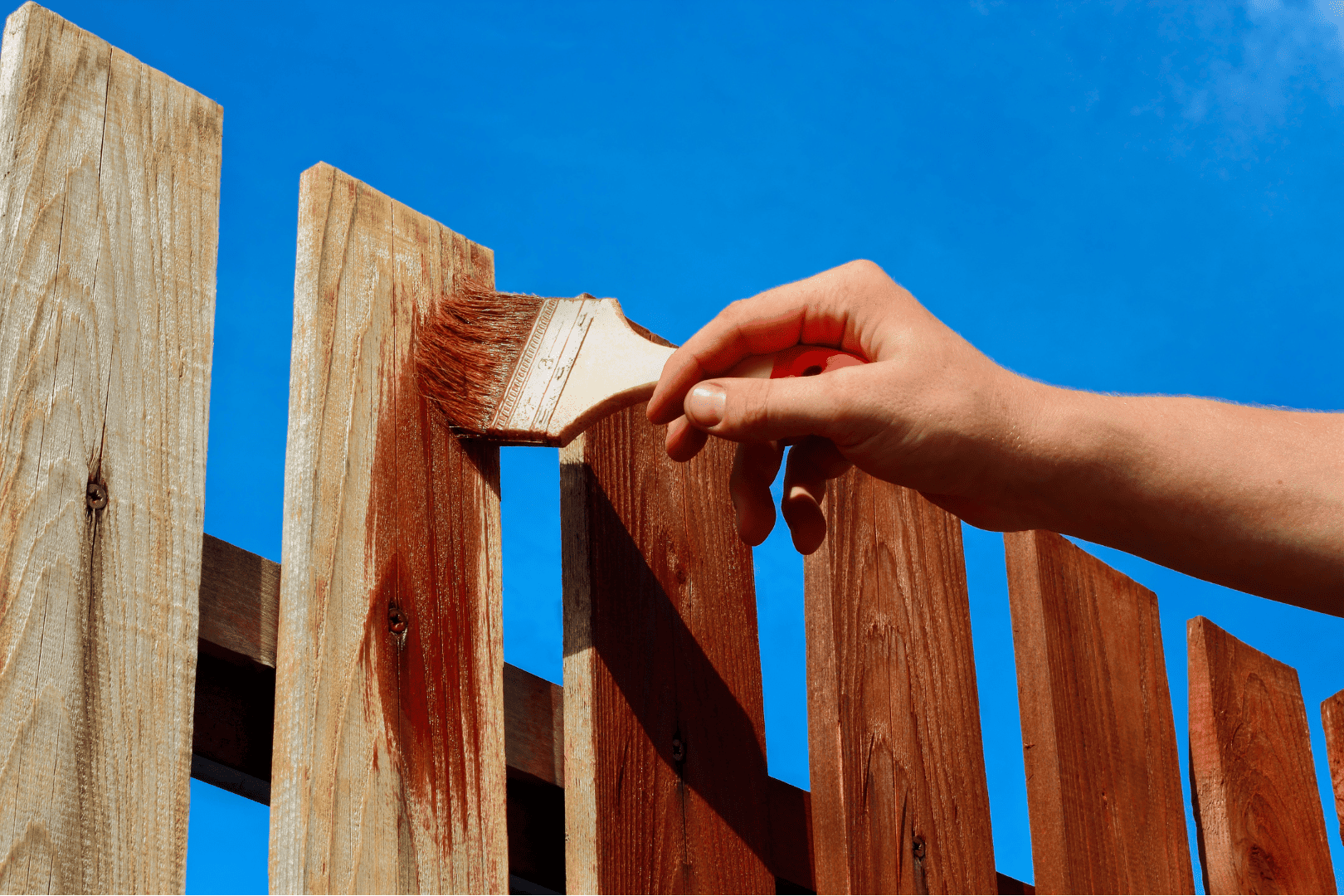 A hand painting/staining a wood fence to preserve its longevity.
